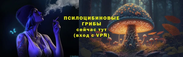 мяу мяу мука Арсеньев