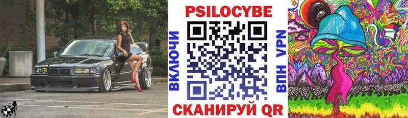 хочу наркоту  Мышкин  Галлюциногенные грибы мухоморы 